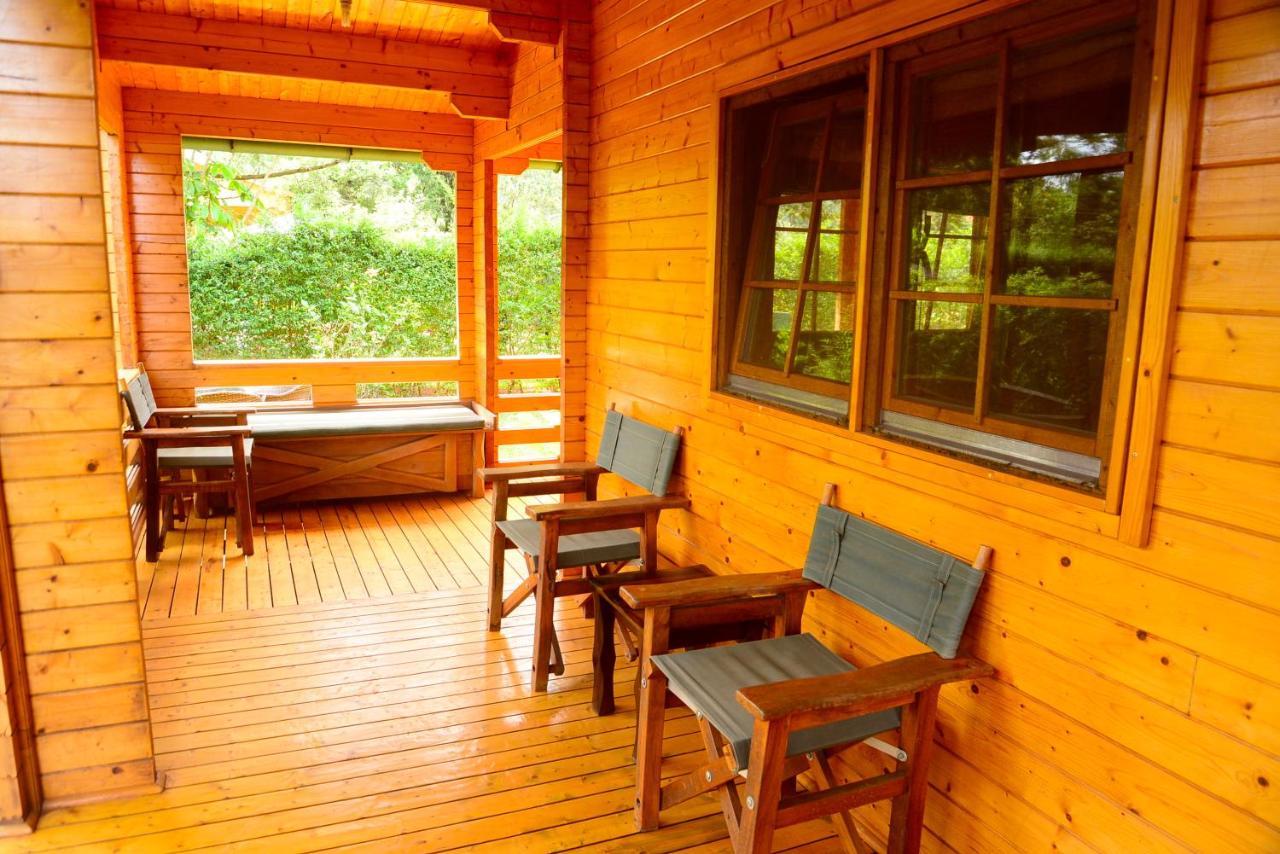 Severine Cottages And Lounge Ltd Nairobi Exteriör bild