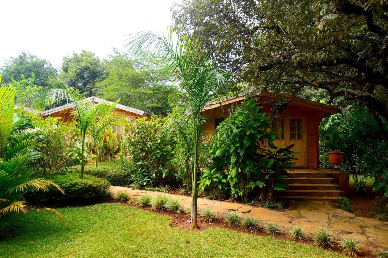 Severine Cottages And Lounge Ltd Nairobi Exteriör bild